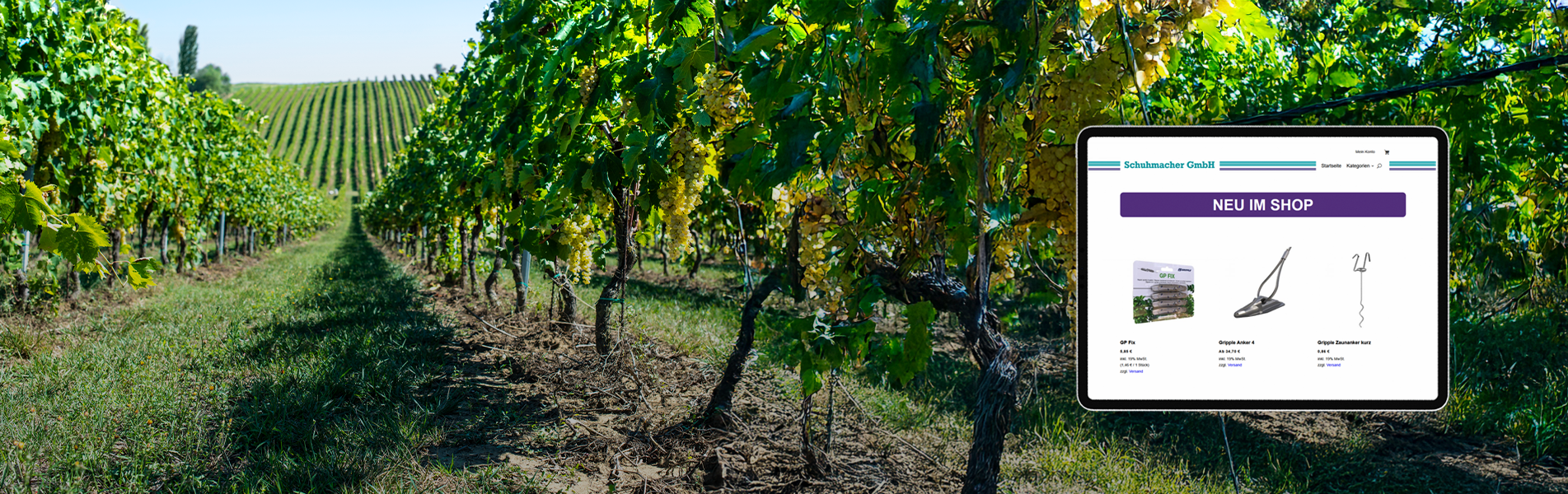 Online-Shop Eröffnungsbanner